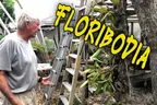 🌳 Banyan Trees & Orchids 🌺 A Little Bit Of Cambodia In Florida 👨‍🌾 thumbnail