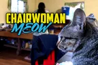 🐈 Chairwoman Meow Is Ridiculous, Pensive, & Cute 🐱 thumbnail