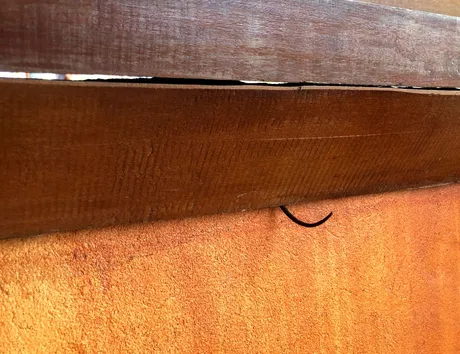 tail.png