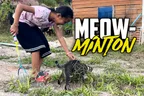 🏸 Meow-Minton | A Sport To Replace Badminton 🐈‍⬛ thumbnail