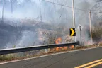 🚬 Cigarette Butts + 🪓Clearcutting + 🥀 Dry Season  = ⚠️ Neverending Wildfires 🔥 thumbnail