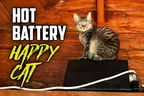 🔋 Battery Backup Is A Cat's Best Friend 😻 & Another Camper Visits ⛺ thumbnail