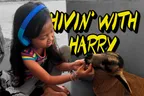 Hivin' With Harry 🐏 Monkey-B Begins Her Hive Journey (With A Little Help) 👩‍💻 thumbnail