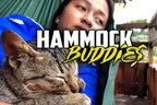 😴 Hammock Buddies 👧 Srey-Yuu & ChairWoman Meow 🐈‍⬛ thumbnail