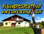 #WednesdayWalk On Pisangrodjostraat With Monkey-B 🌞 Clevia, Suriname 🌴 thumbnail