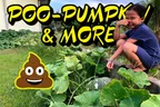 The Ole' Poo Pumpkin 🎃 & Other Interesting Things Not Far From The Septic Tank 💩 thumbnail