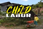 👧 Child Labor ⚒️ Monkey-B Experiments With The Wheelbarrow 🏋️‍♀️ thumbnail