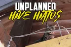 🚫 My Unplanned Hive Hiatus 🤷‍♂️ Is It Over? 🤷‍♂️ thumbnail