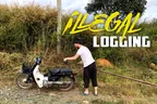 🏍️ Harvesting Illegal Logging Scraps 🪵 Swimming With Monkey-B 🏊‍♂️ & Other Things From Life In The Cardamom Mountains  thumbnail