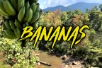 🍌 Bananas + 🎤 Karaoke + 🏞️ River + 🌄 Mountains = Life In Steung Kach, Cambodia 🛖 thumbnail