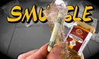 💵 Smuggling Cash Into Suriname 📦🏴‍☠️ Surviving the Economic Crisis Any Way Possible 📉🤷‍♂️ thumbnail
