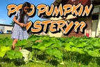 Poo Pumpkin Mystery? 🎃 Who's Eating The Dumpkins? 🕵️ Where Are The Septic Squashes? 💩 thumbnail