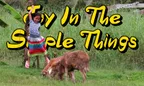 Joy In The Simple Things 🐑 Sheep Jumpin' With Monkey-B thumbnail