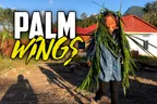 🌴 Monkey-B's Incredible DIY Palm Wings 🪽 thumbnail