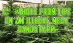 Snapshots 📷 From Life On An 👨‍🌾 Illegal Mega Ganja Farm 🚁 thumbnail