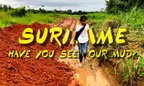 Suriname 🌴 