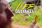 🎬 Life Outtakes From The Cardamom Mountains 🦋 Butterflies, Ukuleles, & Bad Humor 🤦 thumbnail