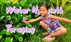 Water Hyacinth Foraging With Monkey-B 💜 Purple Power Protein 💪 thumbnail