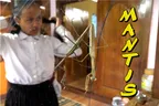 A Morning Mirror Mantis 🪞 & Other Cambodian Randomness 👷‍♂️ thumbnail