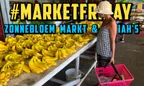 🏪 #MarketFriday | 🌻 Zonnebloem Markt | 🍛 Aisha's حلال Delight | Paramaribo, Suriname thumbnail