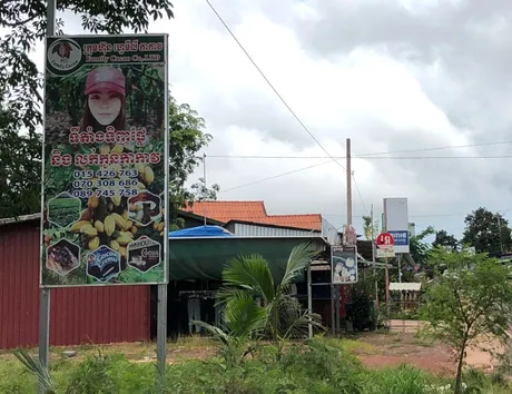 cacao.png