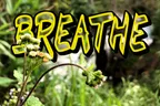📉 Dead PC ➕ Dead Tuk-Tuk ➕ Crypto Crash ➕ Construction Project 🚫 =  🫁 BREATHE 🧘‍♂️  thumbnail