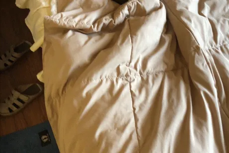 cat.gif
