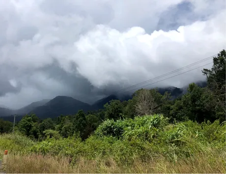 mountain.png