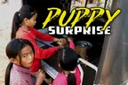 🐶 Cambodian Puppy Surprise 🛺 Random Pups Left In My Tuk-Tuk During Public School Registration Day 🏫 thumbnail