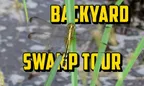 🦋 Backyard Swamp Tour 🌴 Clevia, Suriname 🦗 thumbnail