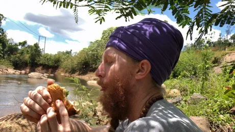 sandwich.gif