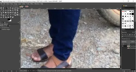 pants.png