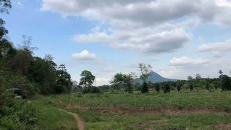 newgif.gif