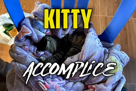 kitty.png