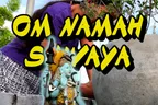 Mini Shiva 🕉️ Harry The Lamb 🐑 & Other Things Behind The Scenes Of @Sreypov's Insect Posts 🤳 thumbnail