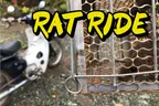 🏍️ The Great Rat Ride 🐀 Bamboo Projects 🎍 & Other Randomness thumbnail