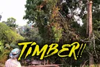 🪓 Tree Trimming To Prevent Future Camper Injuries 🏕️ & A Brief Run For Our Lives 🏃‍♂️ thumbnail