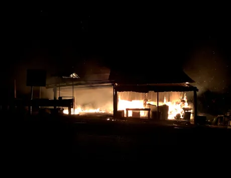 firetre.png