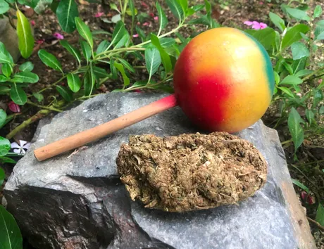 #cannabis