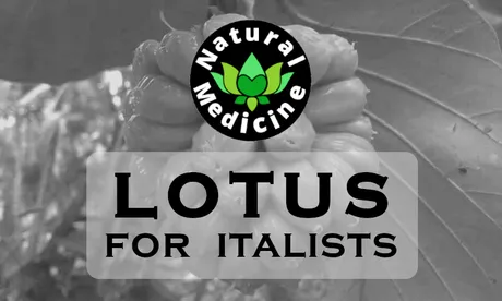 lotusforitalists.png