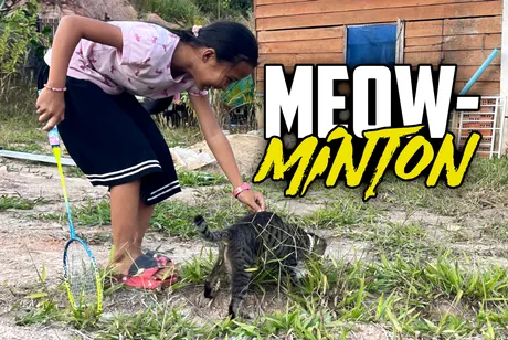 meow.png