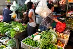 A Peek Inside The Local Market 🧑‍🌾 Pramaoy, Cambodia thumbnail