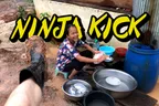 🥷 Ninja Kicks & Other Inappropriate Fatherly Humor 🙅‍♀️ thumbnail