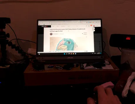 4.JPG