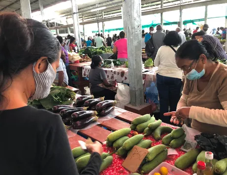 luffa.JPG