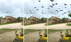 Monkey-B Spooks The Pigeons 🕊️ Paramaribo, Suriname thumbnail