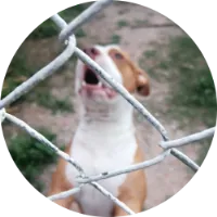 333.png