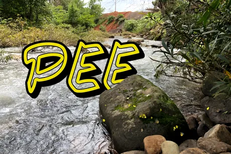 PEE.png