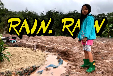 RAIN.png