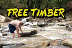 🌊 The Flood Has Provided Treasures 🪓 Collecting Wood For Hügelkultur 🪵 thumbnail
